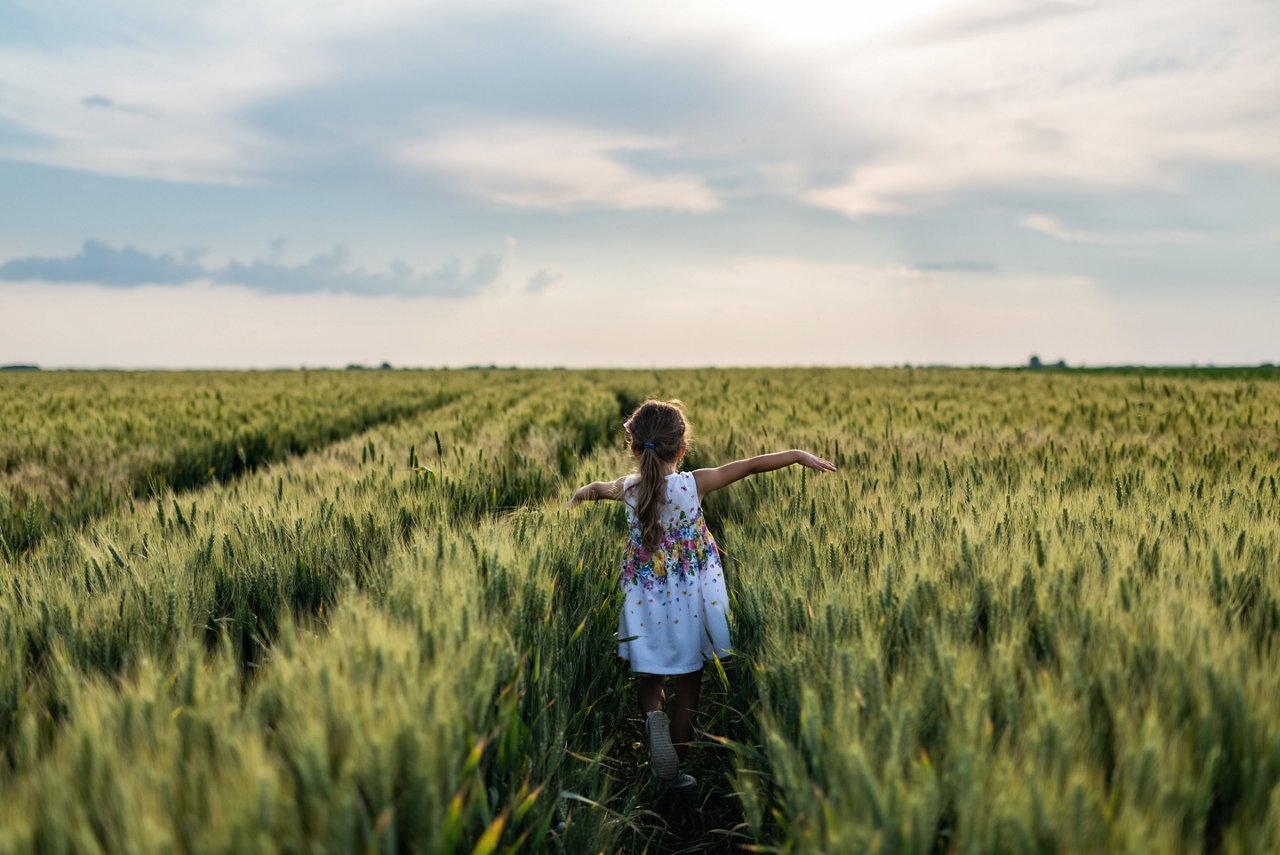 Happy little girl is pretending to be an airplane, while running through green wheat field. She outstretched her arms.