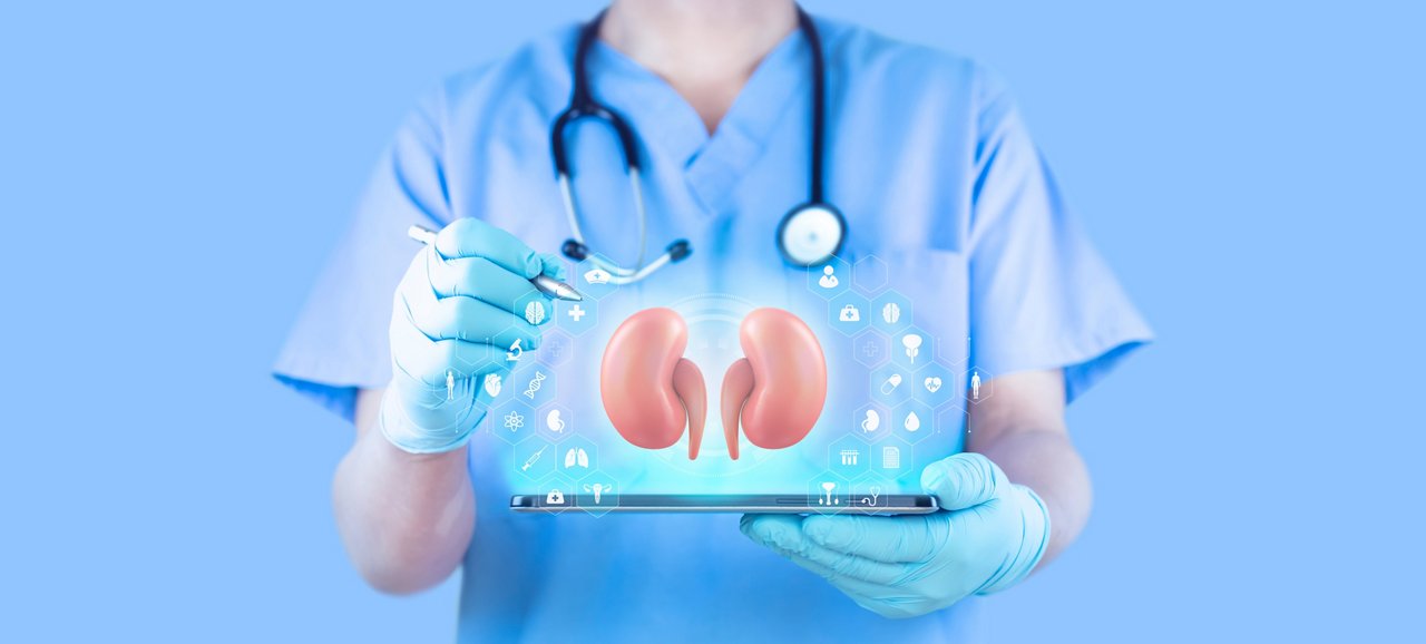 Doctor analyzes kidneys through his tablet. Nephrology, health care for kidney problems. Nephrologist isolated on light blue background