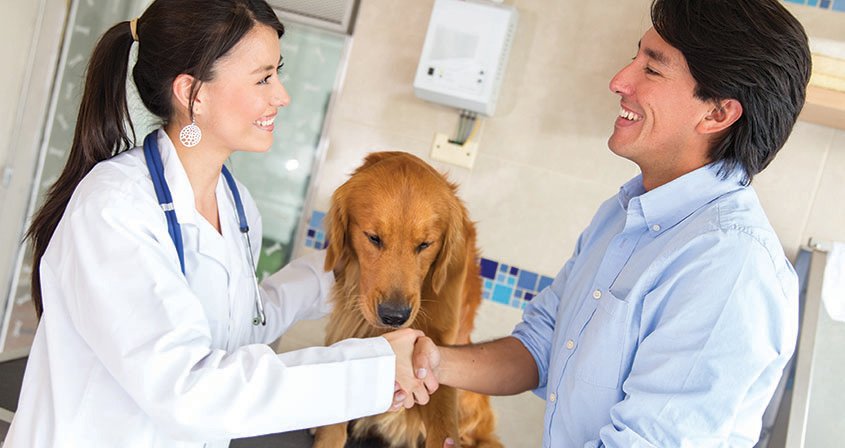 Man with his dog giving handshake to a doctor at the vet