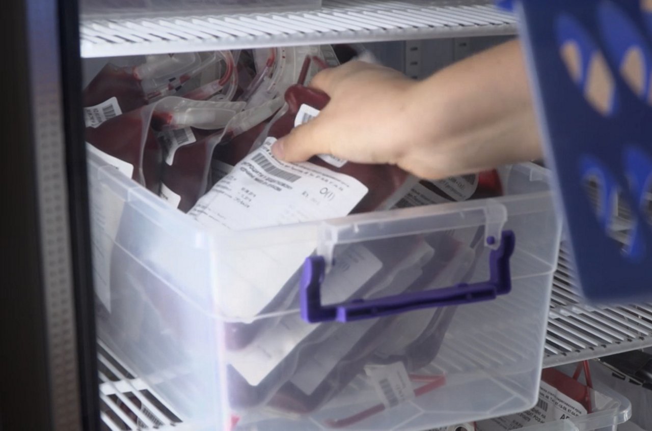 Close-up of multiple labeled blood bags stored in a transparent container inside a medical refrigerator.