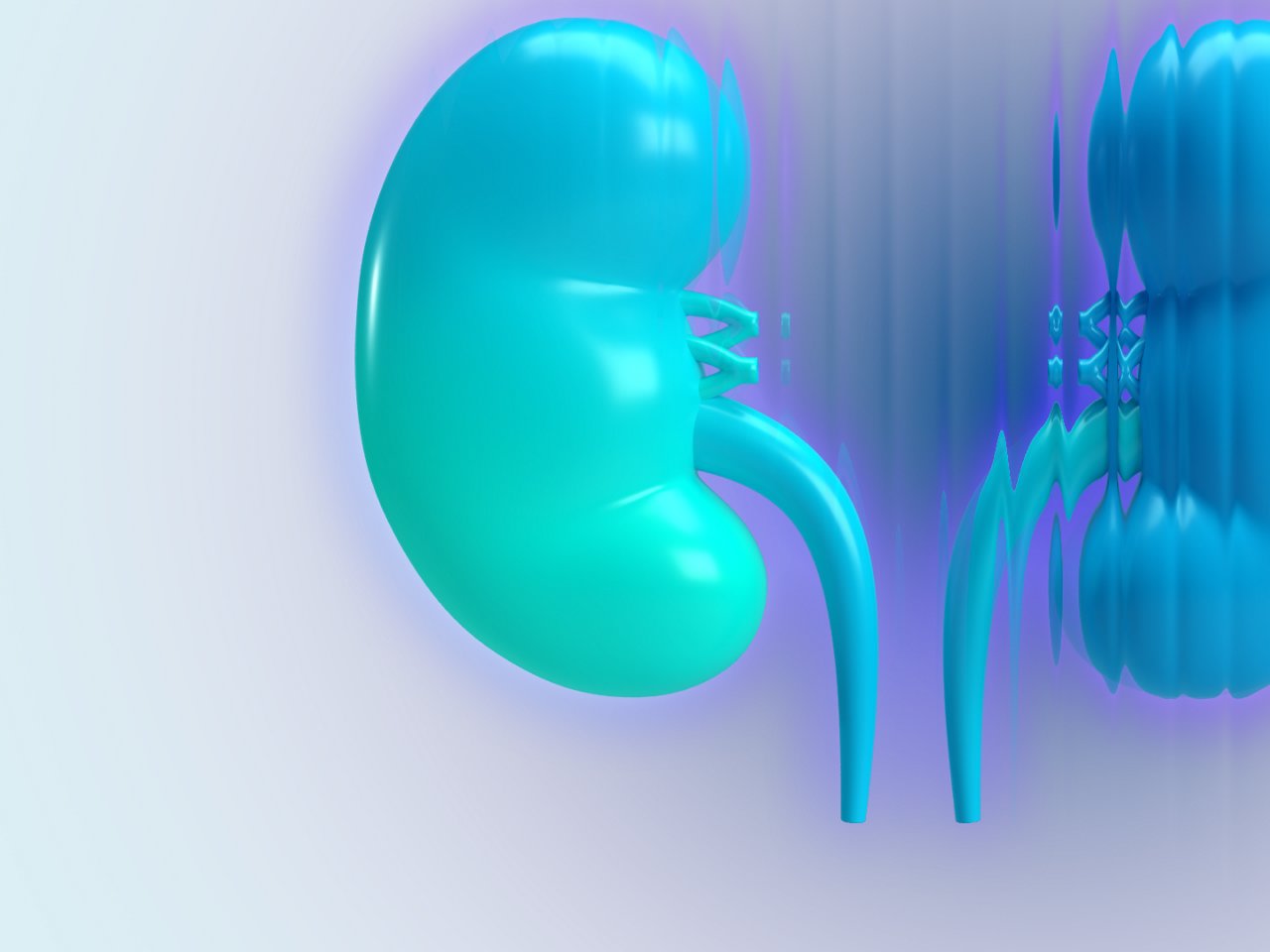 Global Kidney Nutrition Webinar Key Visual