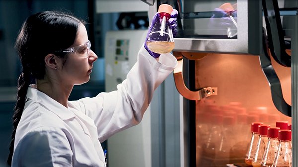 Worker in a lab coat and gloves holds a flask with liquid in front of an incubator containing other flasks.