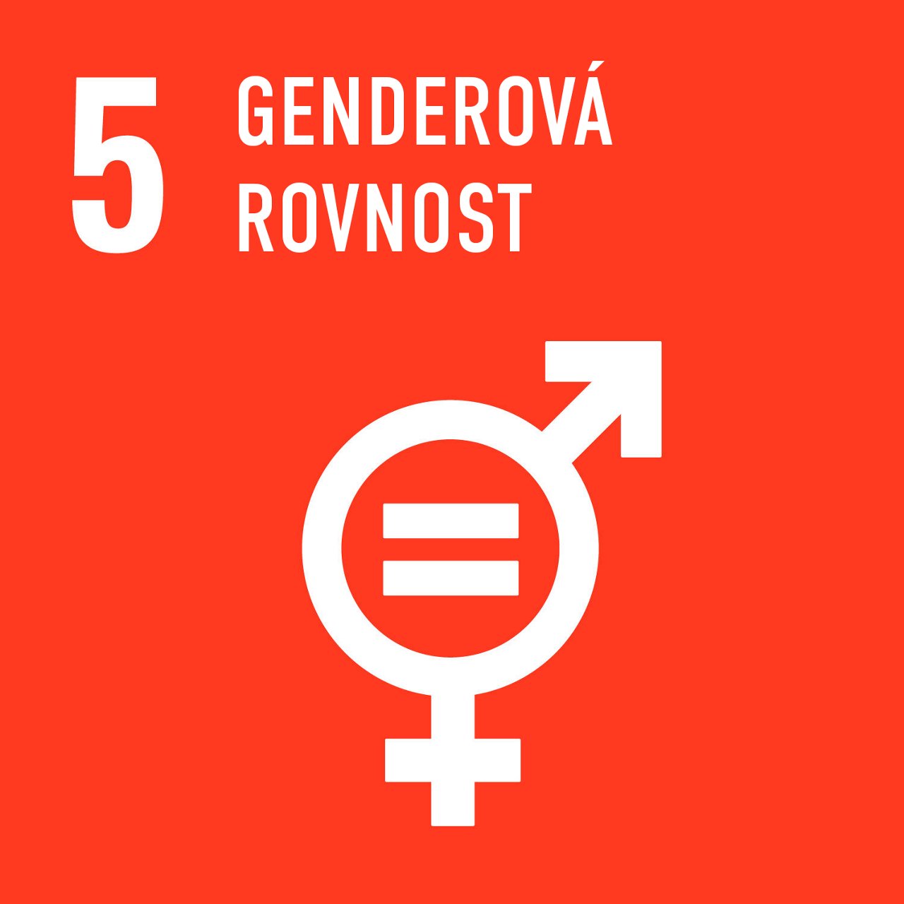 Goal 5
