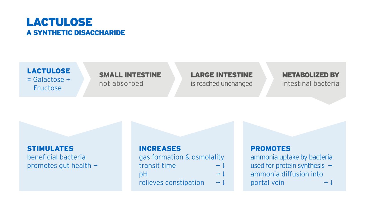 Web_Lactulose_210825