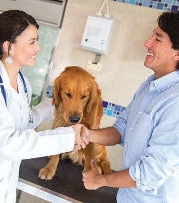 Handshake at the vet