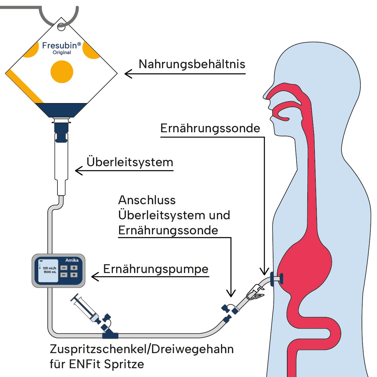InfografikApplikationswege_Bolusabgabe