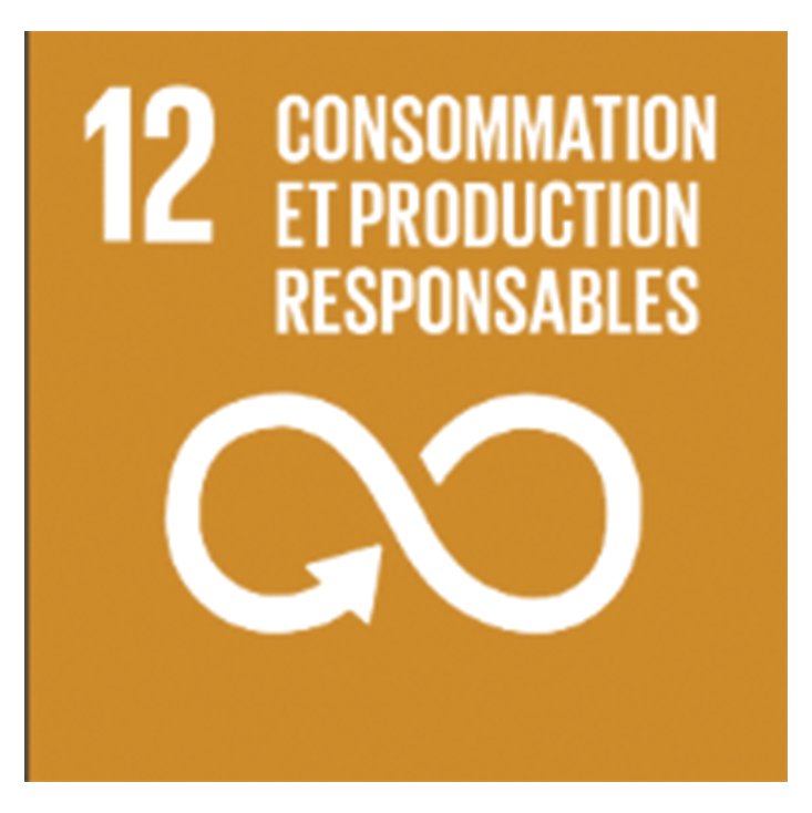 consommation et production responsables
