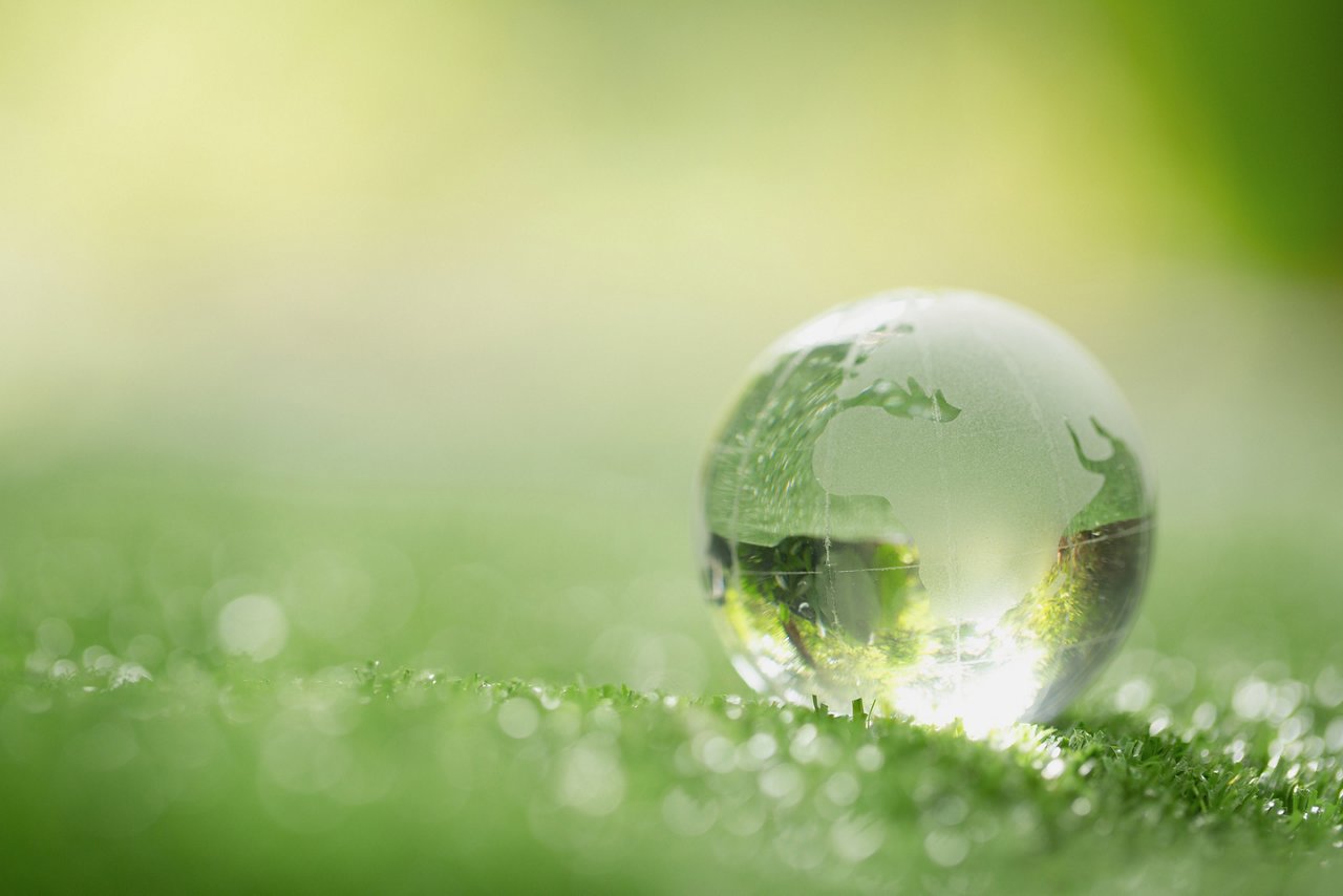  l'environnement dans notre ADN