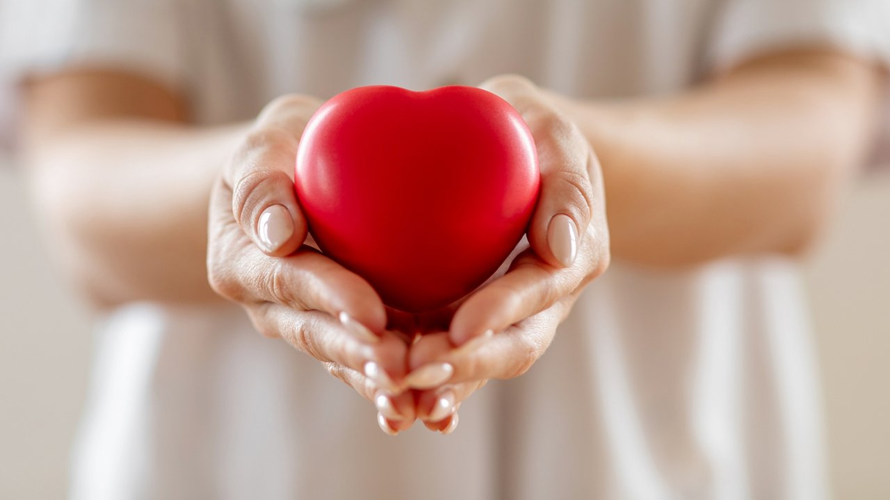 Woman doctor holding heart in hands