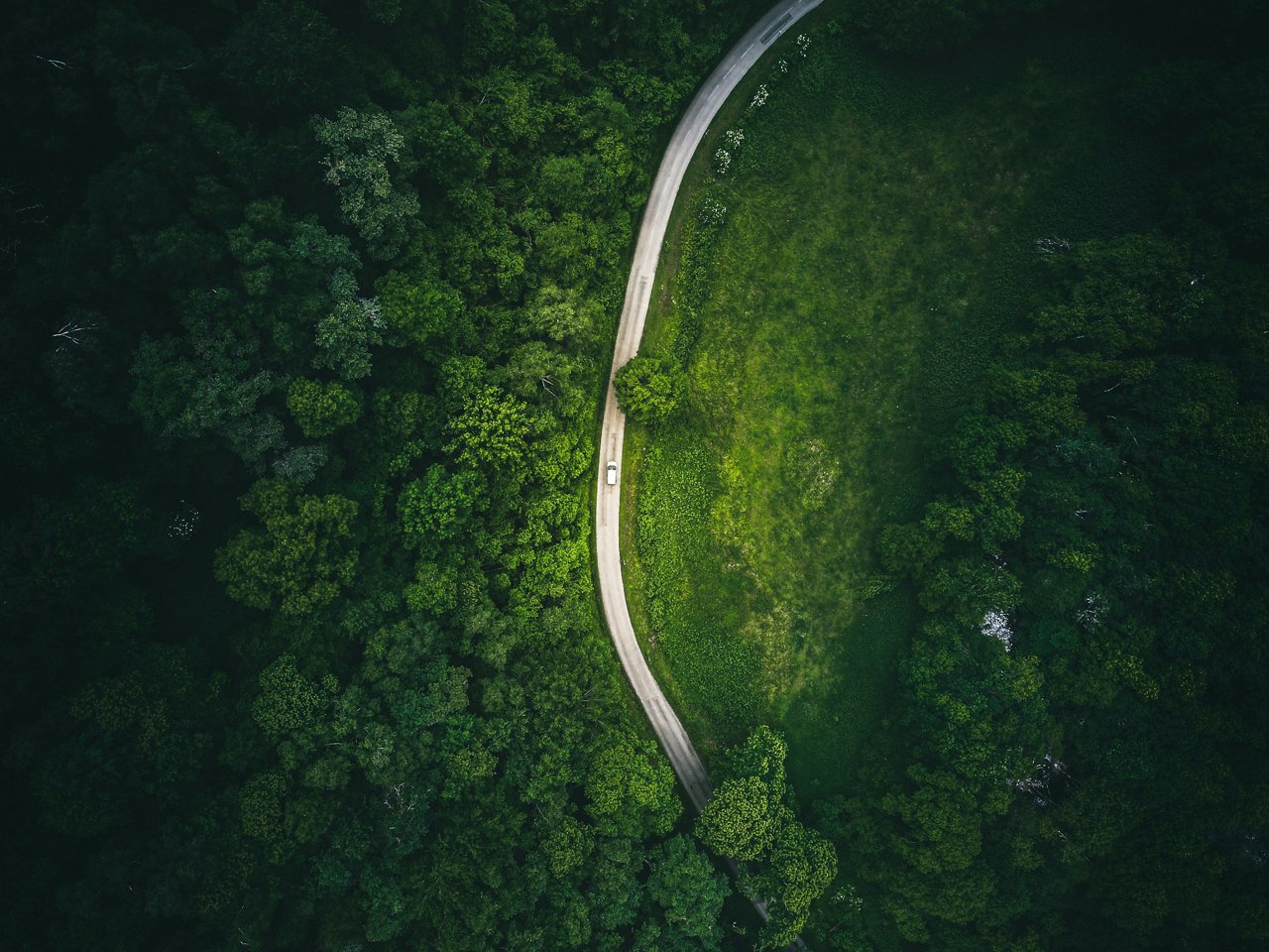 Impacto ambiental flota vehicular