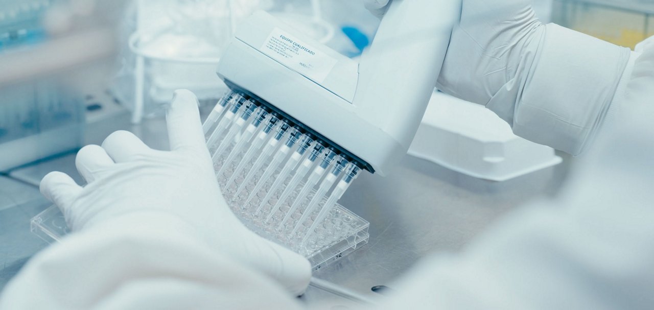 Gloved hands using a multichannel pipette to transfer liquid into a clear microplate.