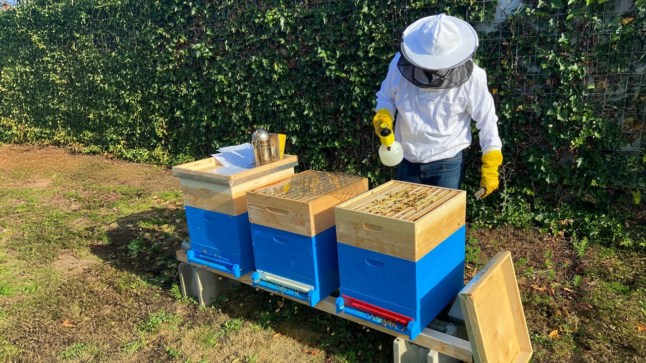 robert hagenhofer opening a bee hive