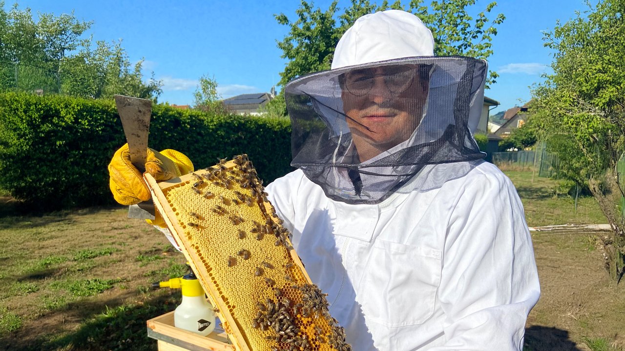 robert hagenhofer presenting a bee frame full of bees