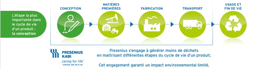 schéma du cycle de la vie